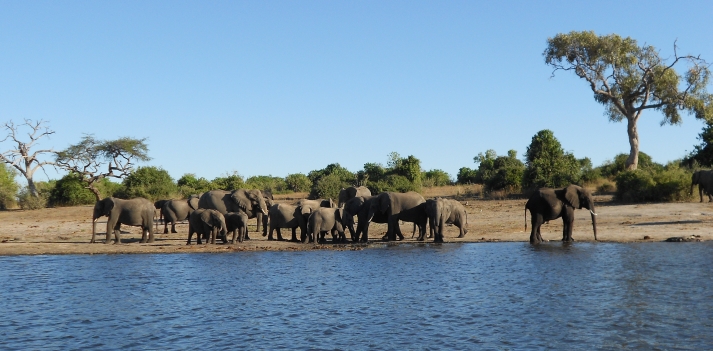 Botswana - In tenda fra il deserto del Kalahari e il Delta dell'Okavango  2
